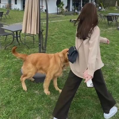 陷阱